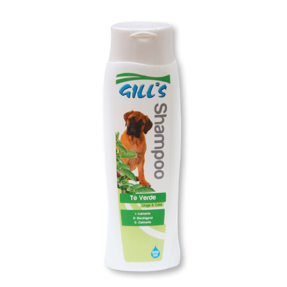 Gill's Grüntee-Shampoo