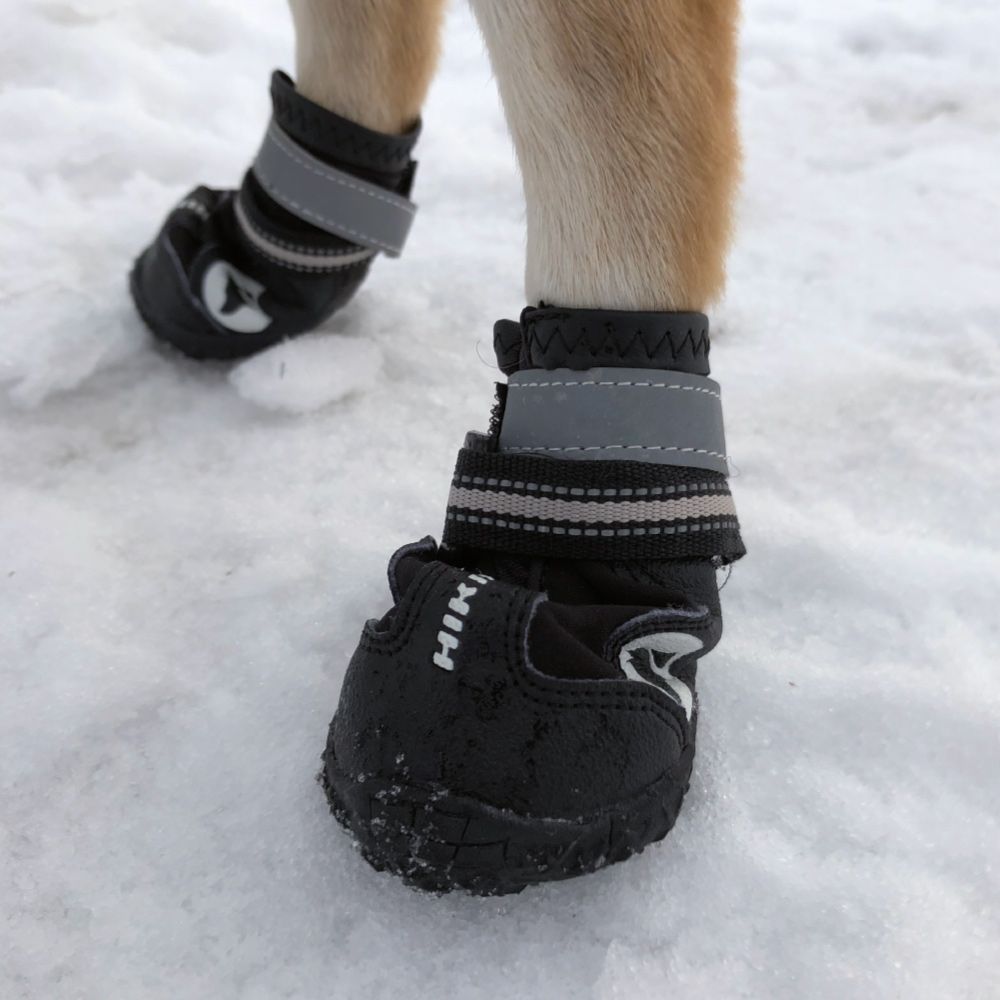 Trekking Hiking Shoes for Dogs 2pcs