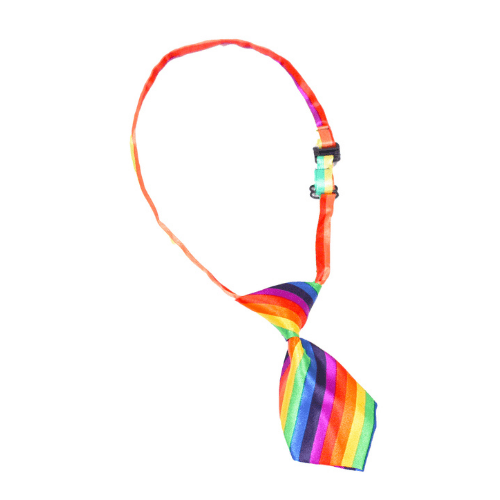 Rainbow Bow Tie for Dogs