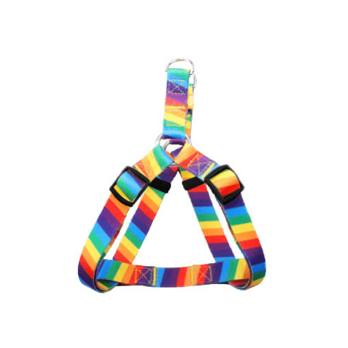 Rainbow dog and cat harness