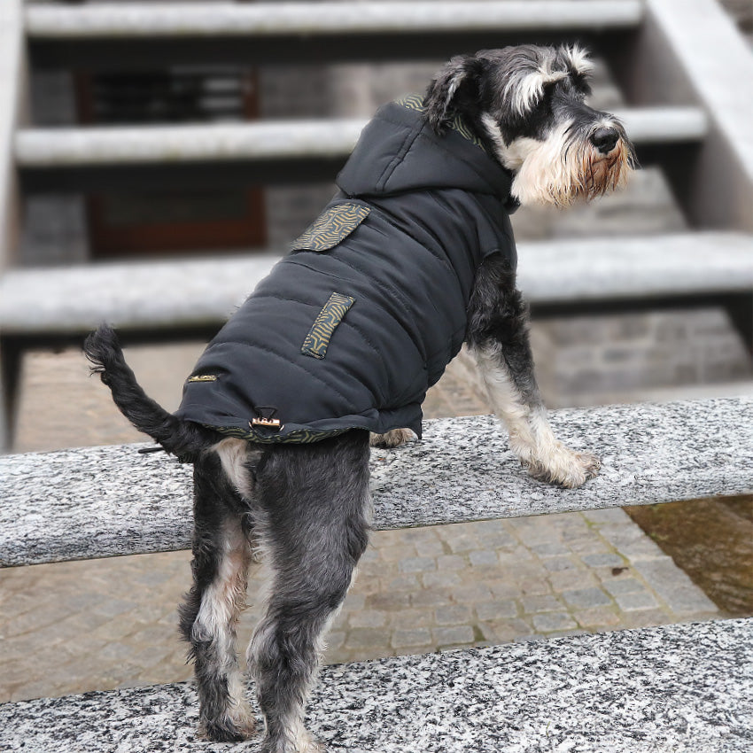 Giubbotto imbottito nero reversibile per cani in poliestere, riflettente e impermeabile - 1