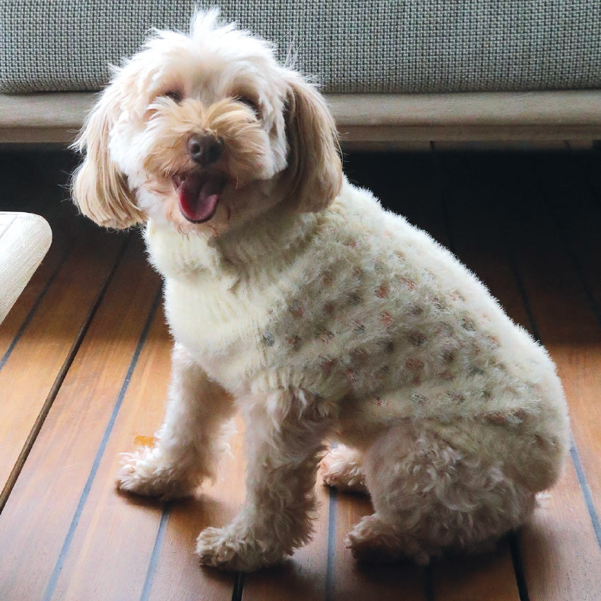 Maglioncino bianco per cani in poliestere caldo ed elegante con foro guinzaglio - 1