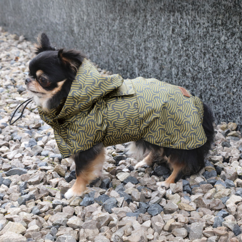 Giubbotto impermeabile luxury per cani in poliestere con interno in velluto e collo regolabile - 1