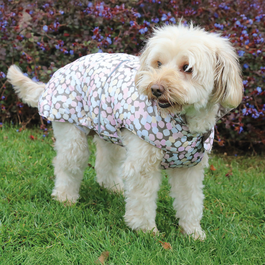 Giubbotto imbottito per cani in poliestere con stampa Marshmallow, riflettente e impermeabile - 1