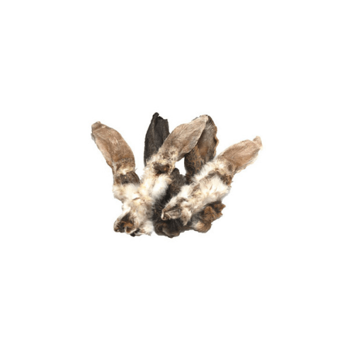 orecchie di coniglio con pelo