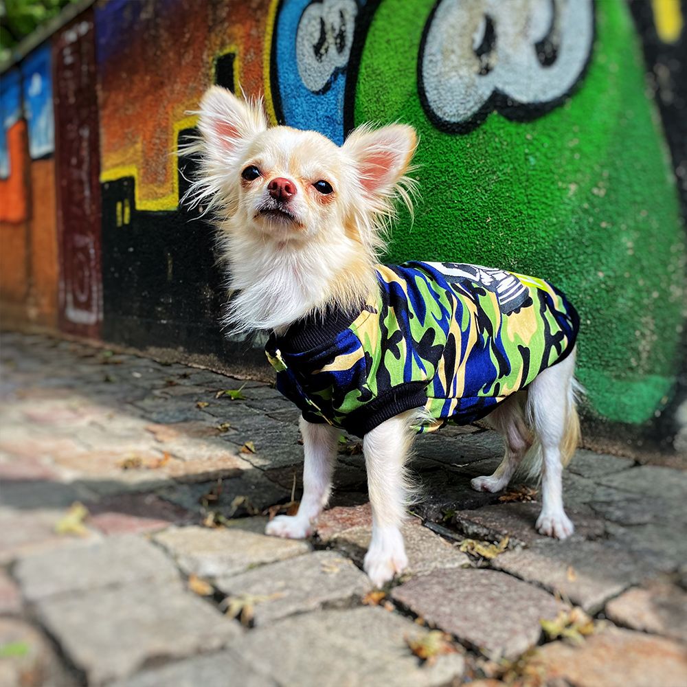 Sudadera X Hype para Perros